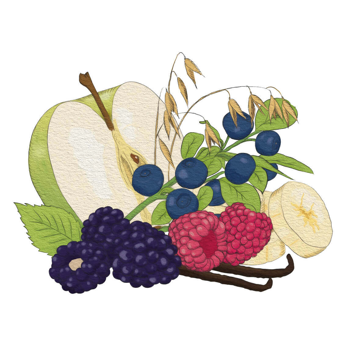 Blåbär & vaniljsmoothie (5-pack)
