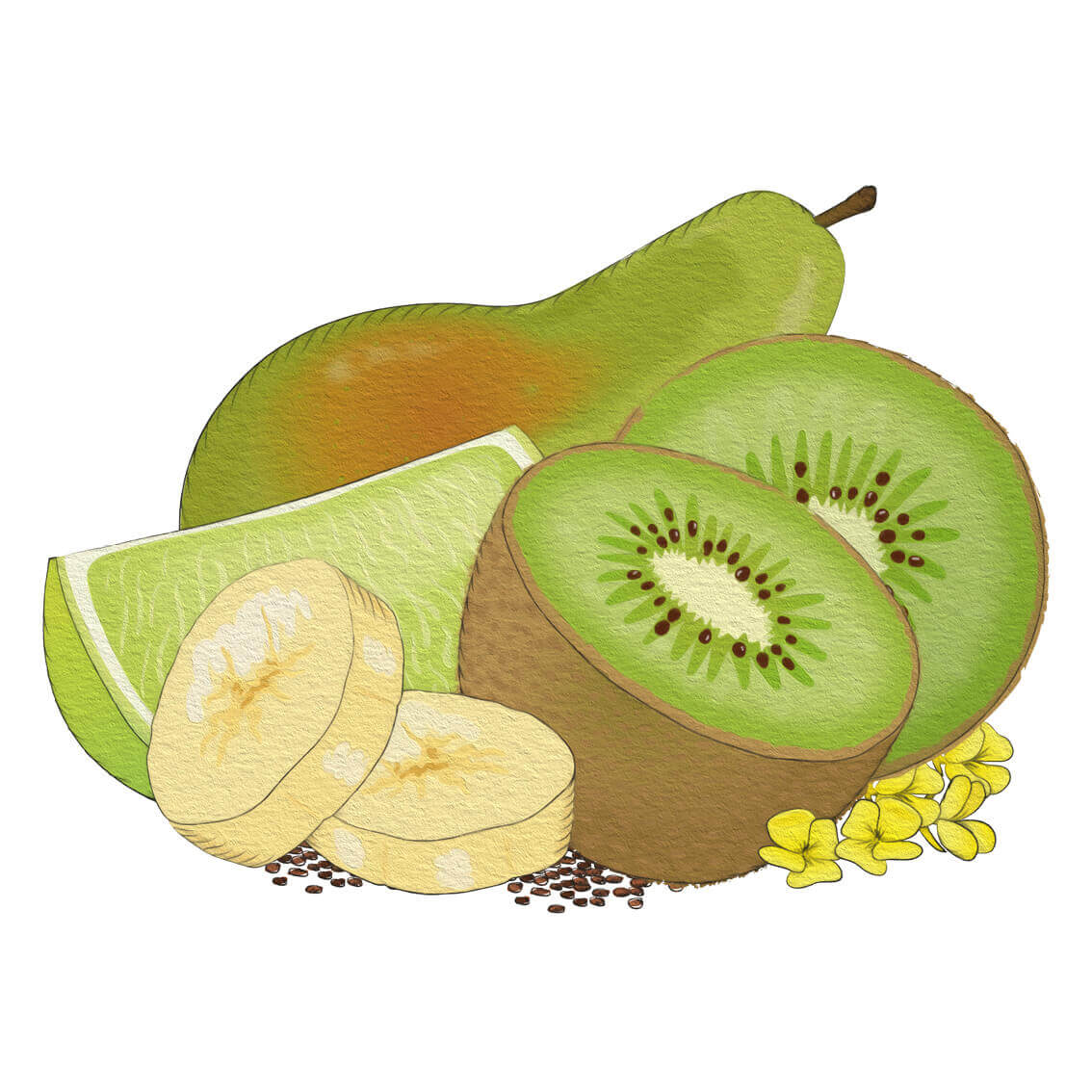 Kiwi- & quinoasmoothie (5-pack)