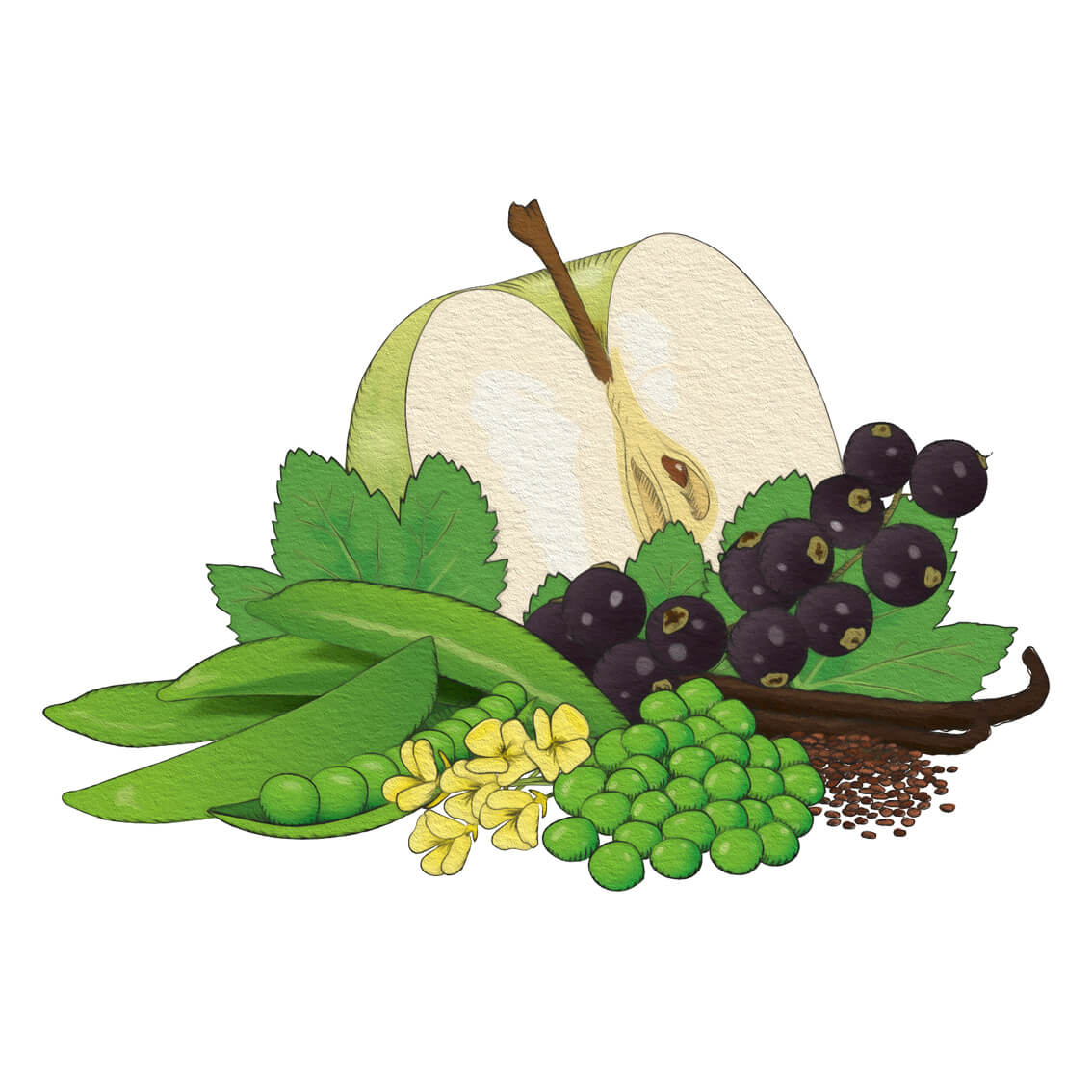 Gröna ärtor & svarta vinbärssmoothie (5-pack) - kort datum