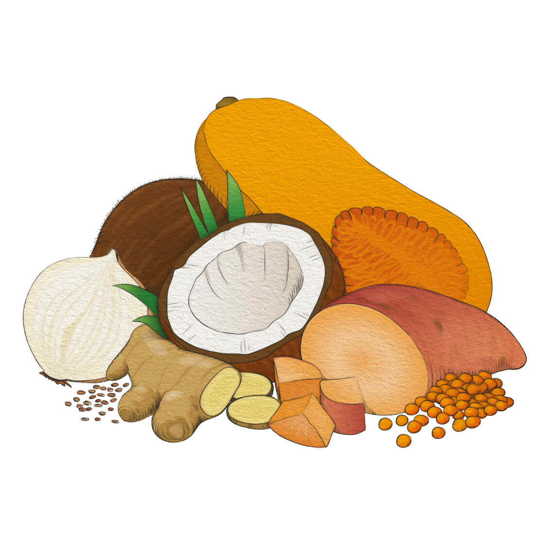Vegetarisk butternutmåltid (6-pack)
