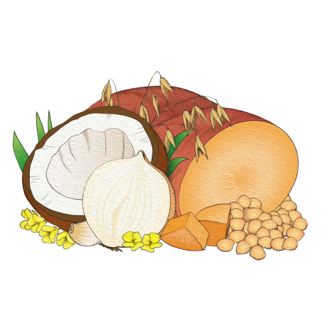 Vegetarian sweet potato & coconut meal