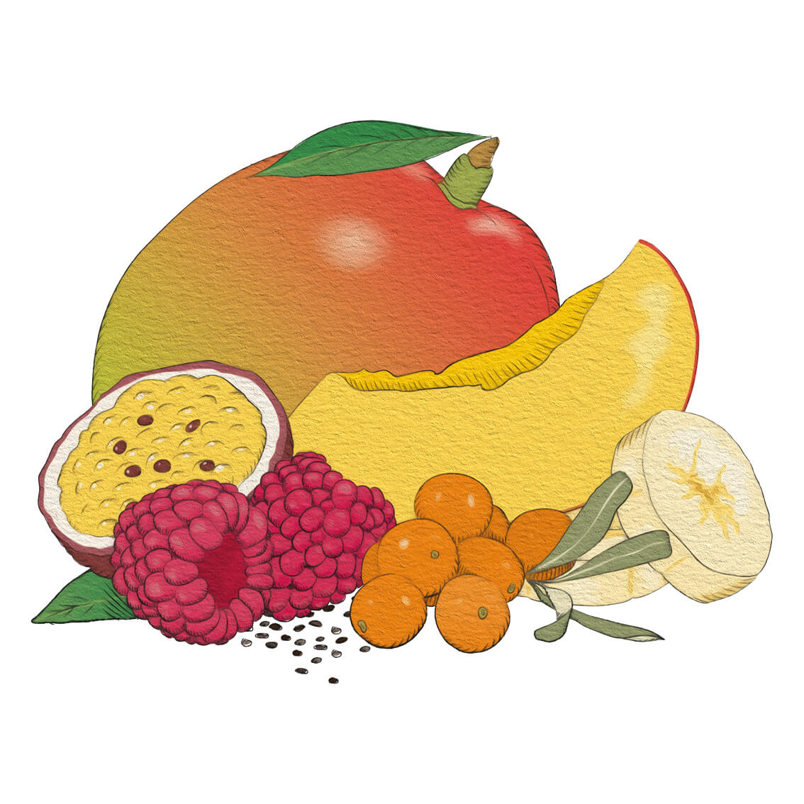 Havtorn og mango (5-pak)