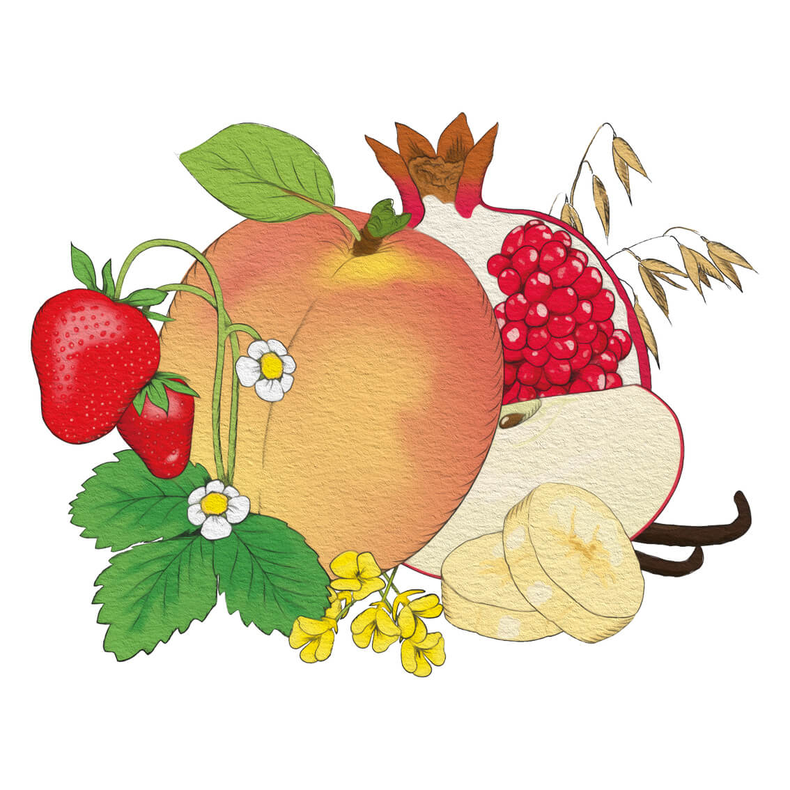 En teckning av frukter, grönsaker, inklusive Persika- & vaniljsmoothie (5-pack), på en vit bakgrund.