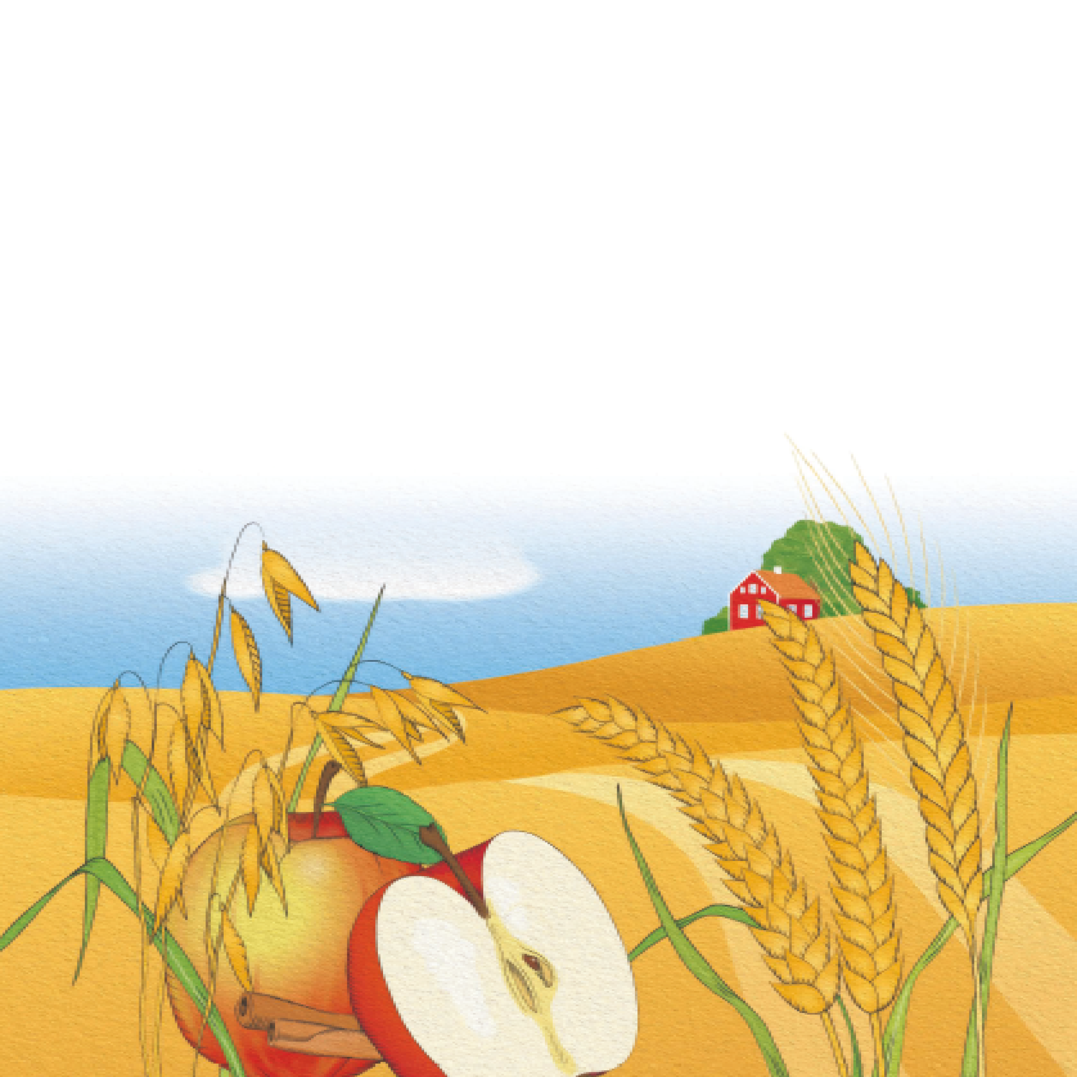 NYHET! Fullkornsgröt, äpple & kanel (400 g, 1-3 år)