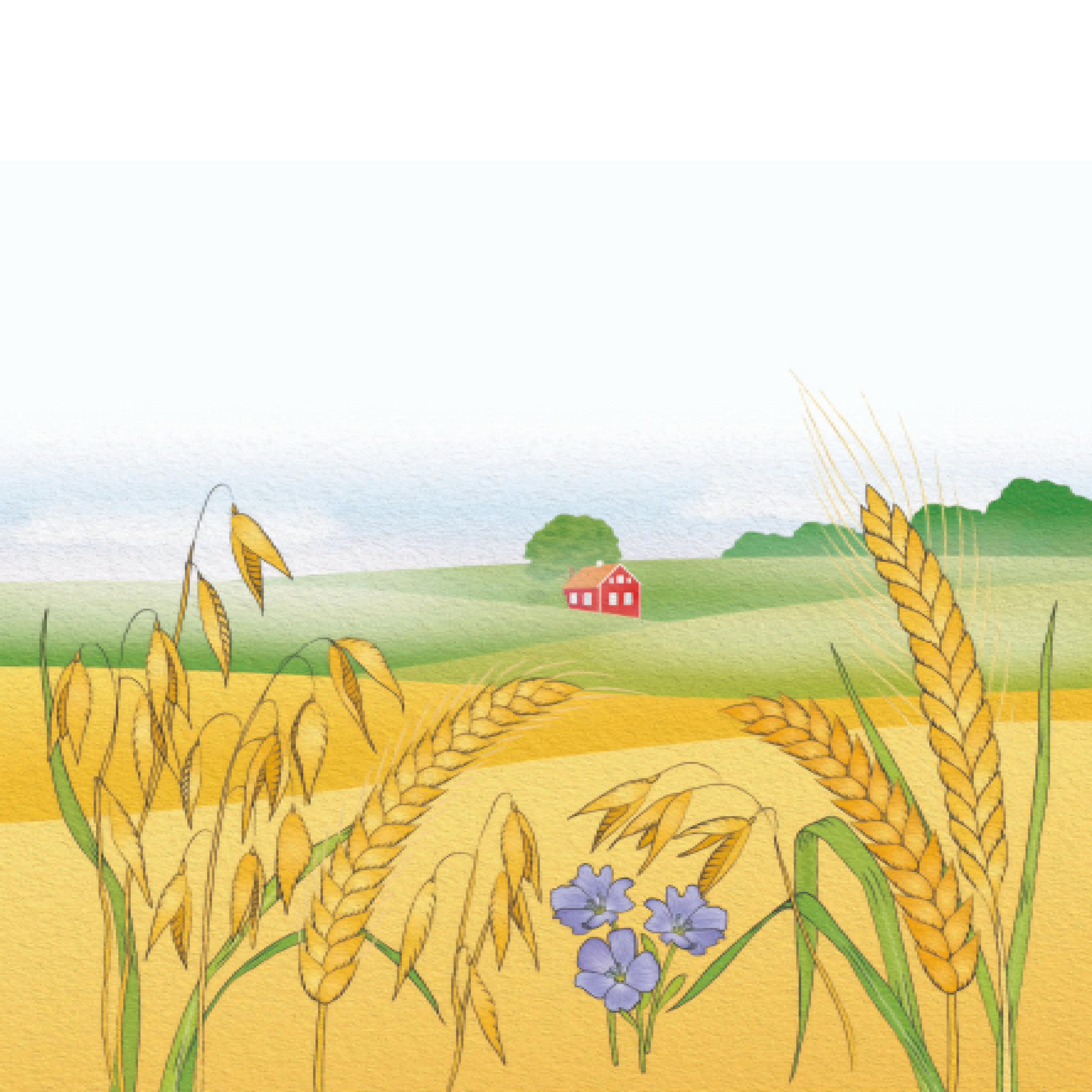 NYHET! Mild fullkornsvälling, naturell (400 g, 6+ mån.)